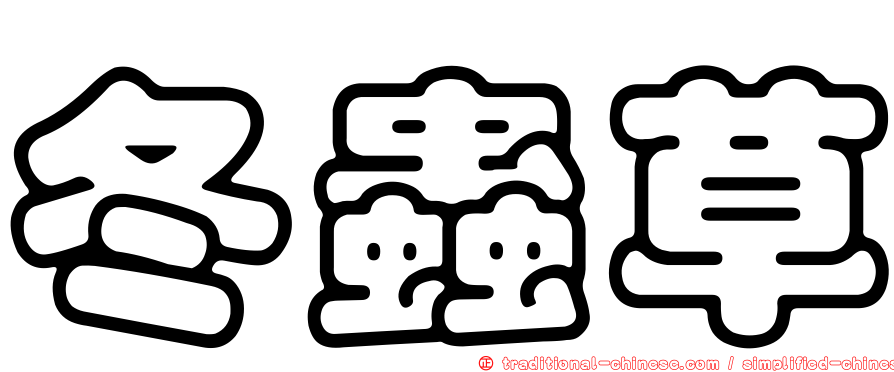 冬蟲草