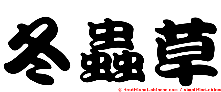 冬蟲草