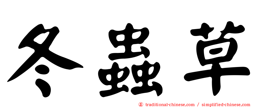 冬蟲草