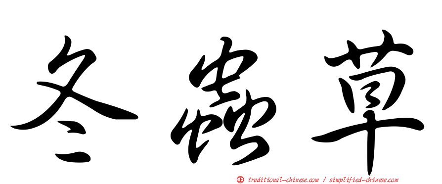 冬蟲草