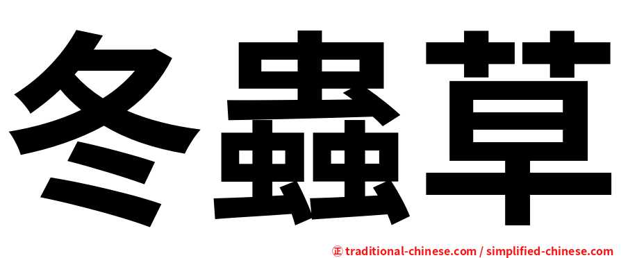 冬蟲草