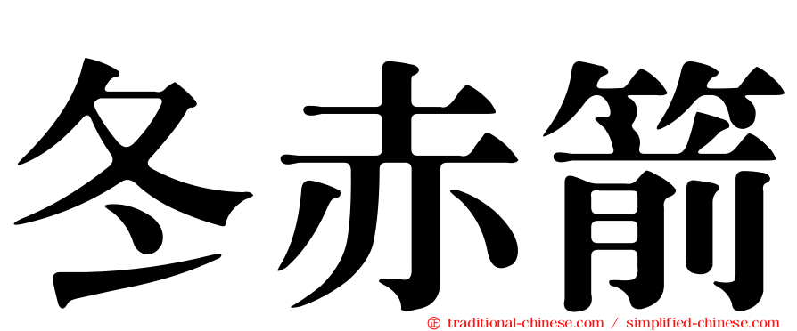 冬赤箭