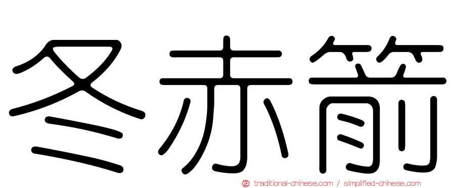 冬赤箭