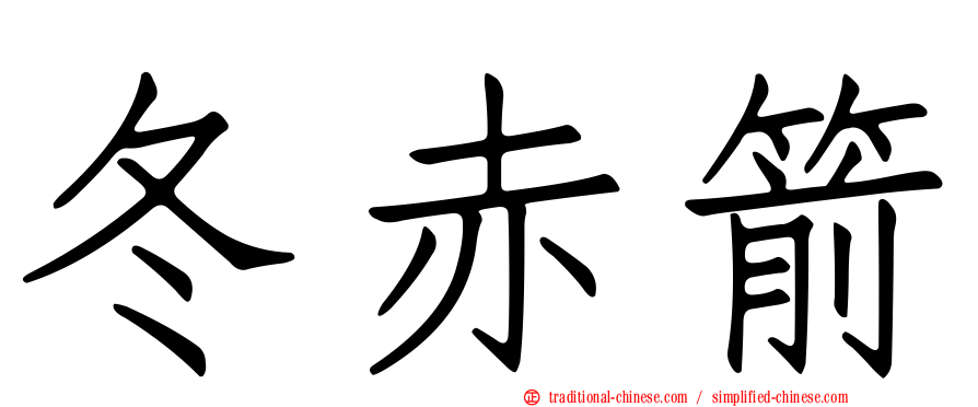 冬赤箭