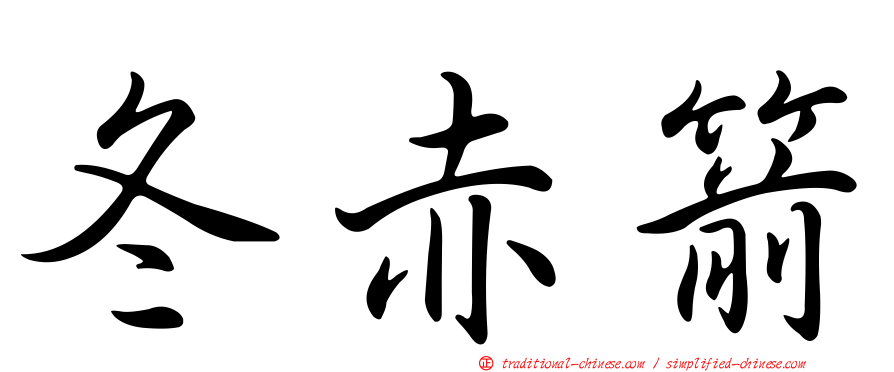冬赤箭
