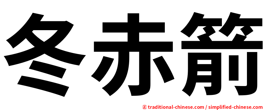 冬赤箭