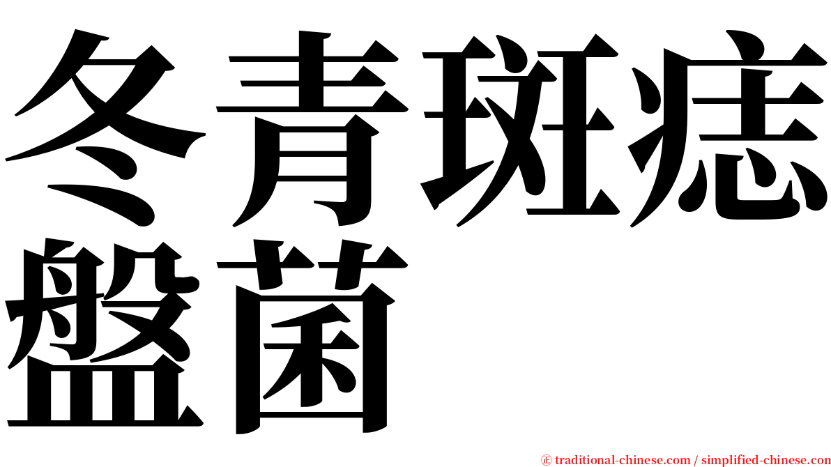 冬青斑痣盤菌 serif font