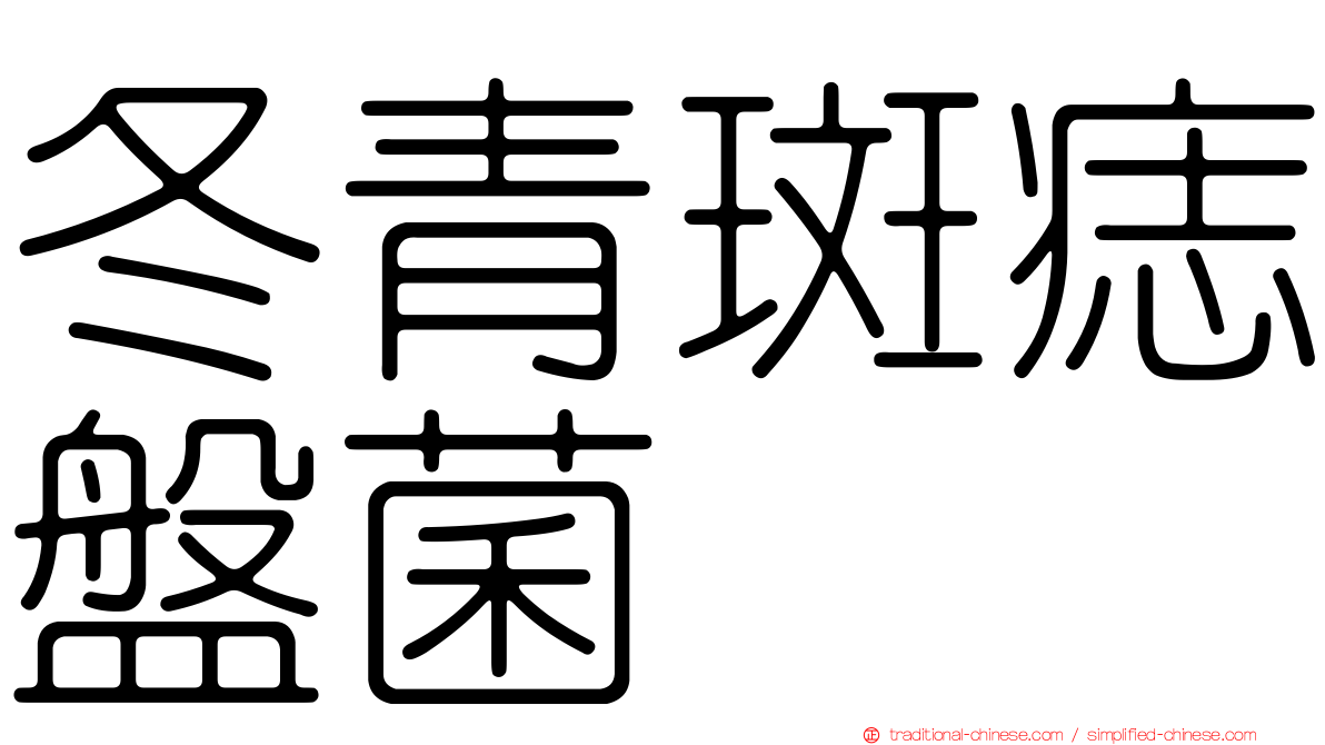 冬青斑痣盤菌