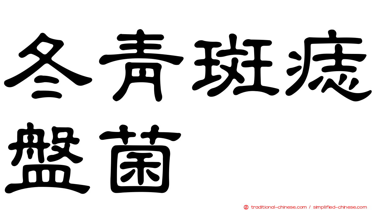 冬青斑痣盤菌