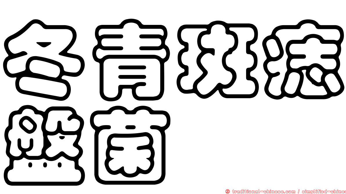 冬青斑痣盤菌