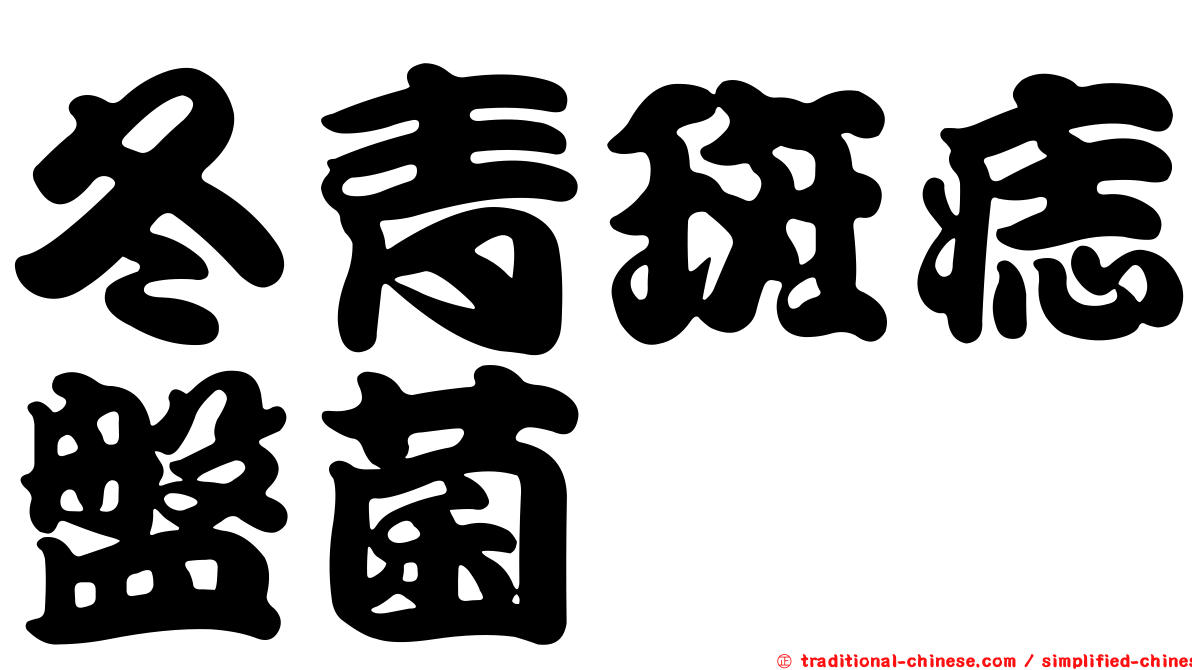 冬青斑痣盤菌