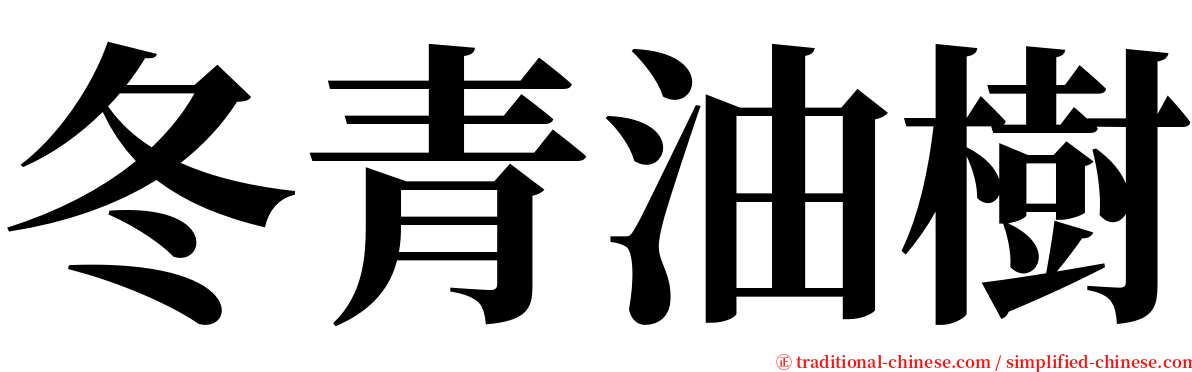 冬青油樹 serif font