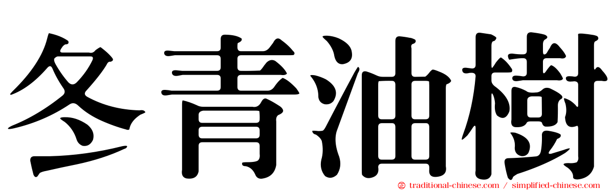 冬青油樹