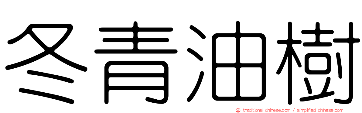 冬青油樹