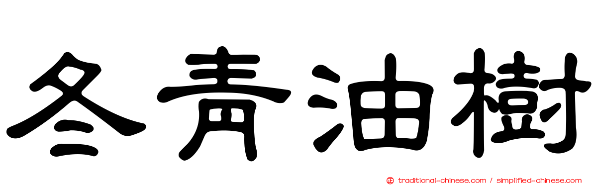 冬青油樹
