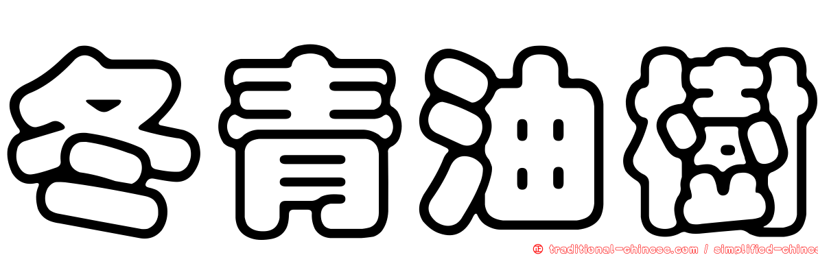冬青油樹