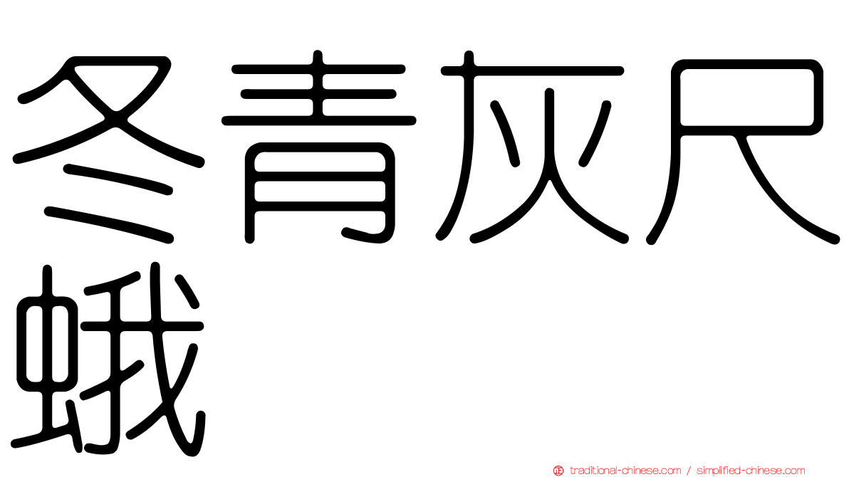 冬青灰尺蛾