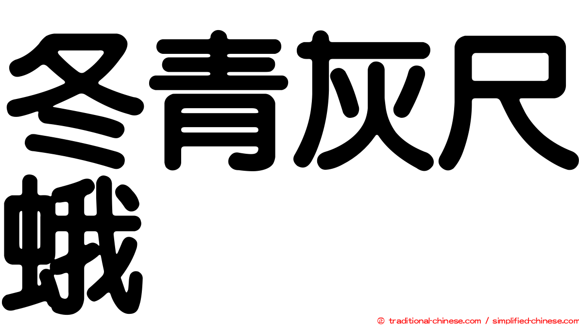冬青灰尺蛾