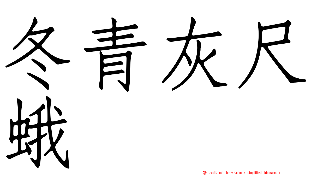 冬青灰尺蛾
