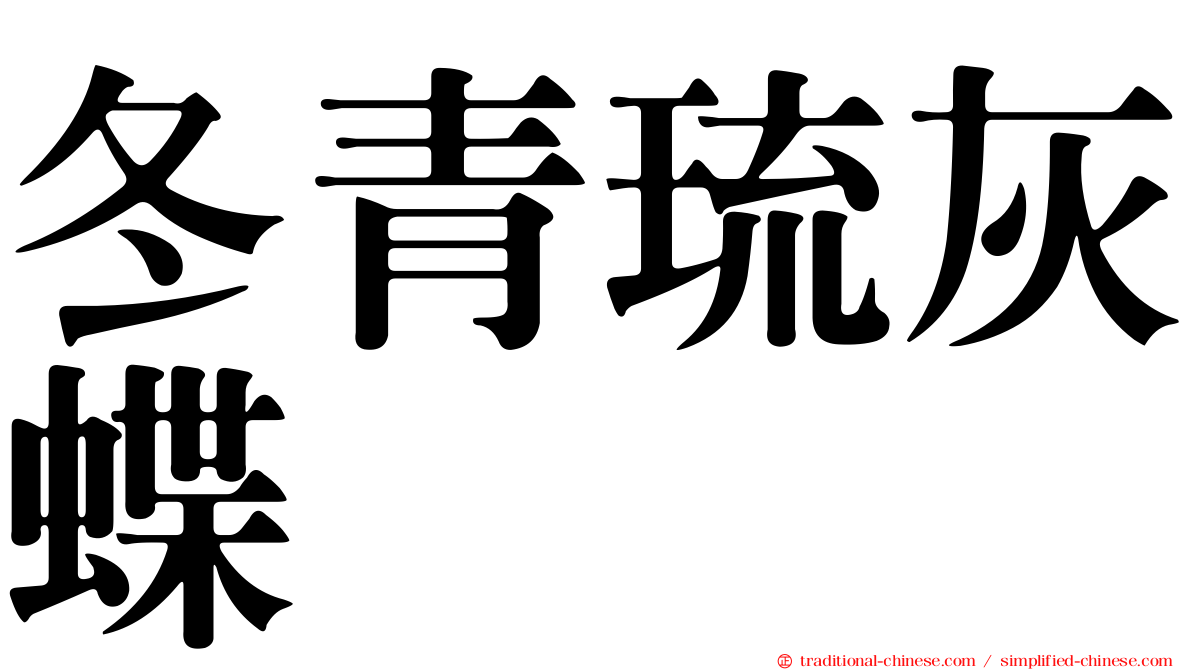 冬青琉灰蝶
