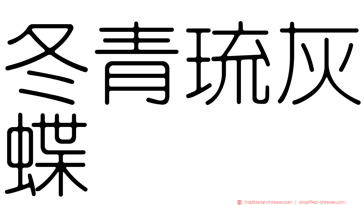 冬青琉灰蝶