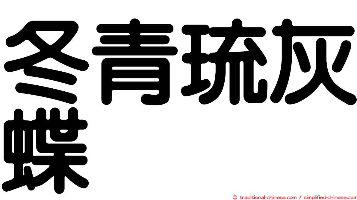 冬青琉灰蝶