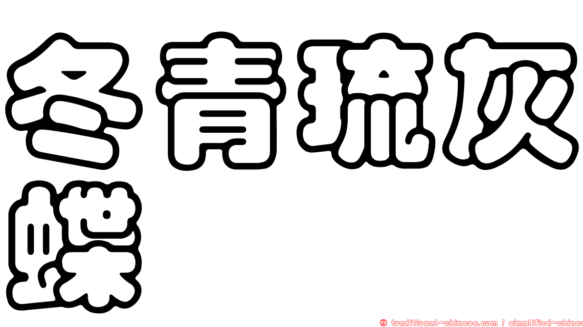 冬青琉灰蝶
