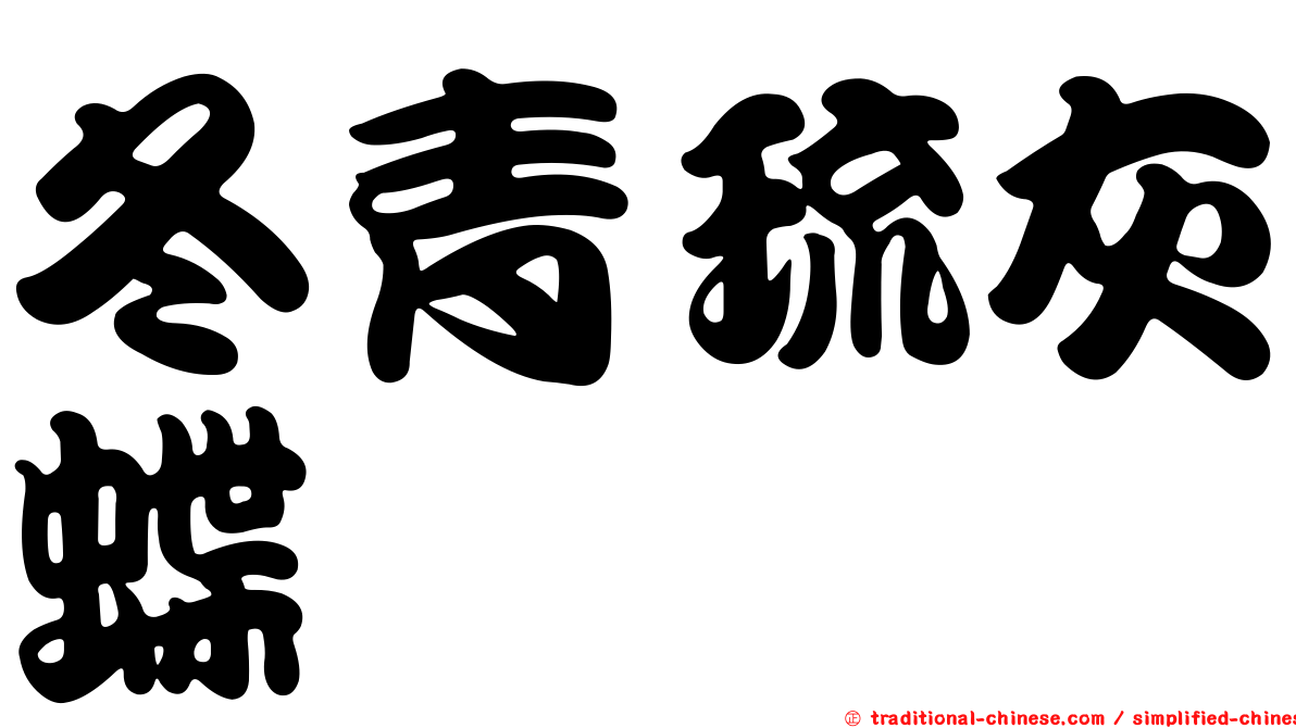 冬青琉灰蝶