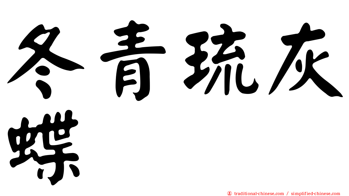冬青琉灰蝶