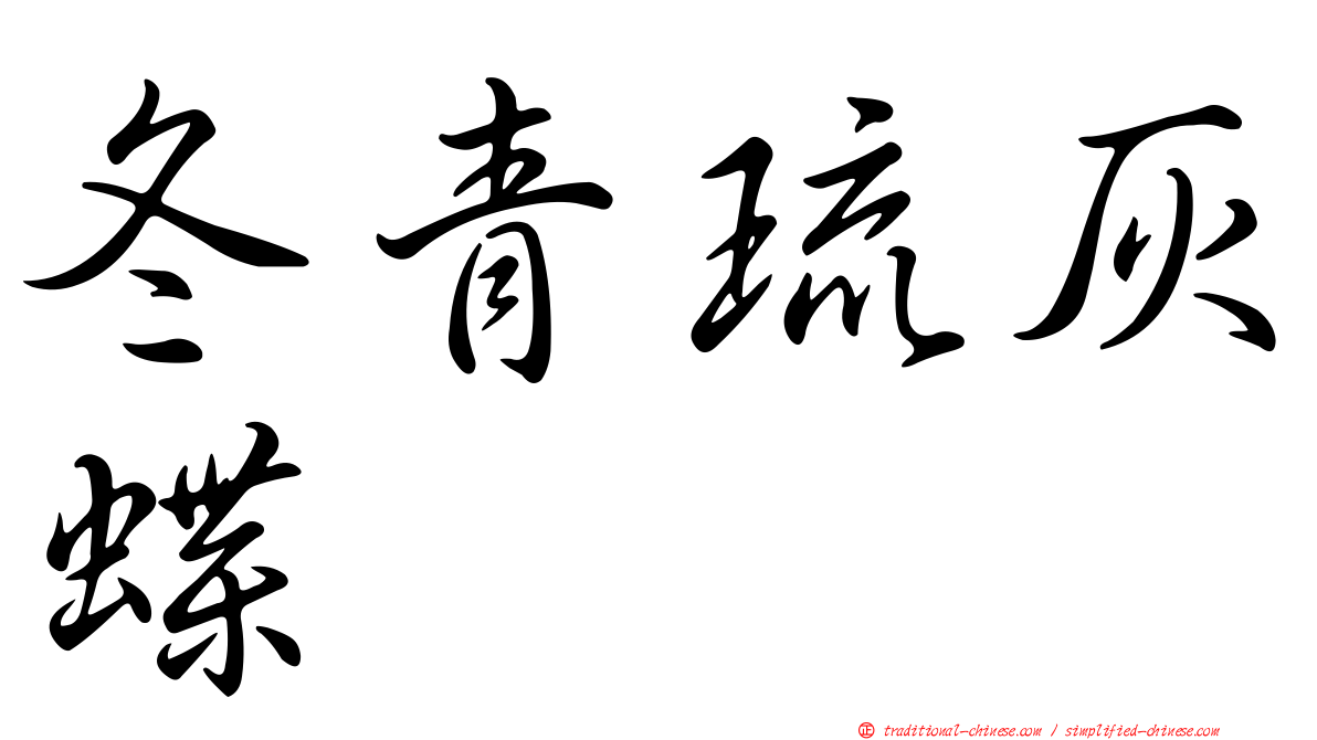 冬青琉灰蝶