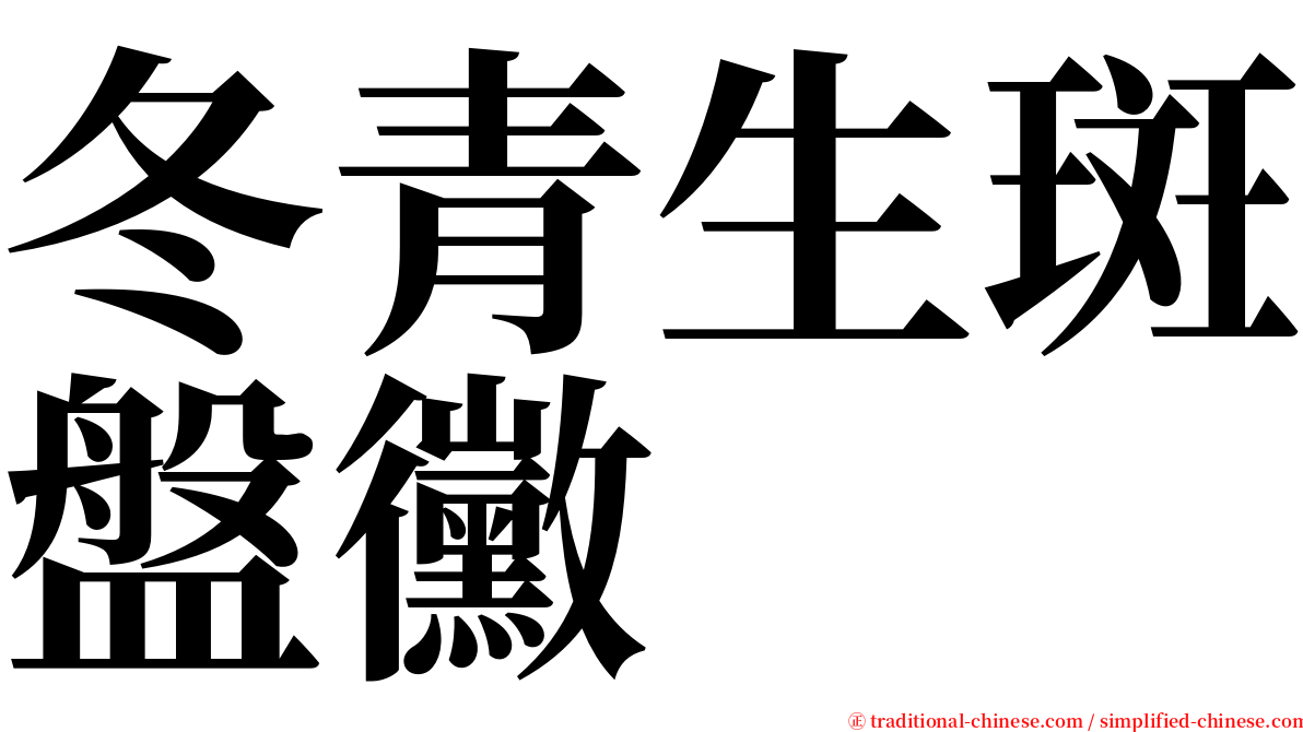 冬青生斑盤黴 serif font