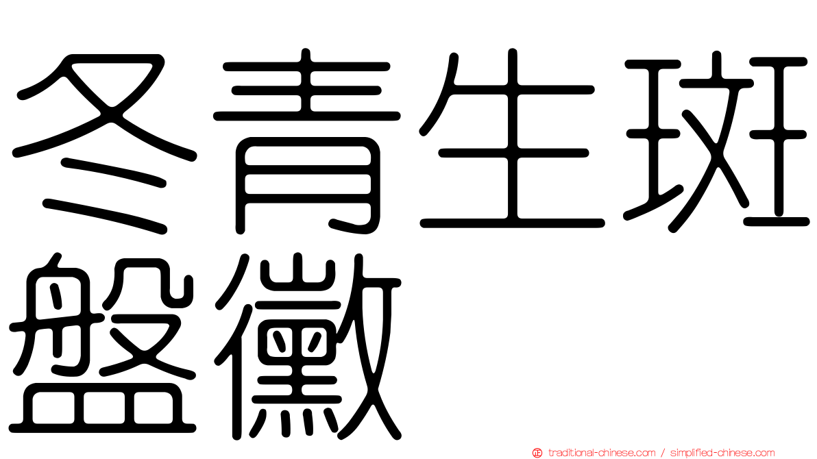 冬青生斑盤黴