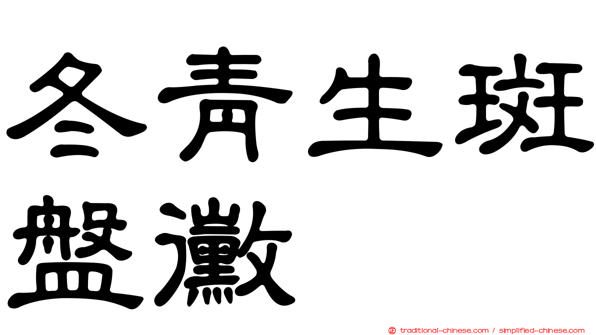 冬青生斑盤黴