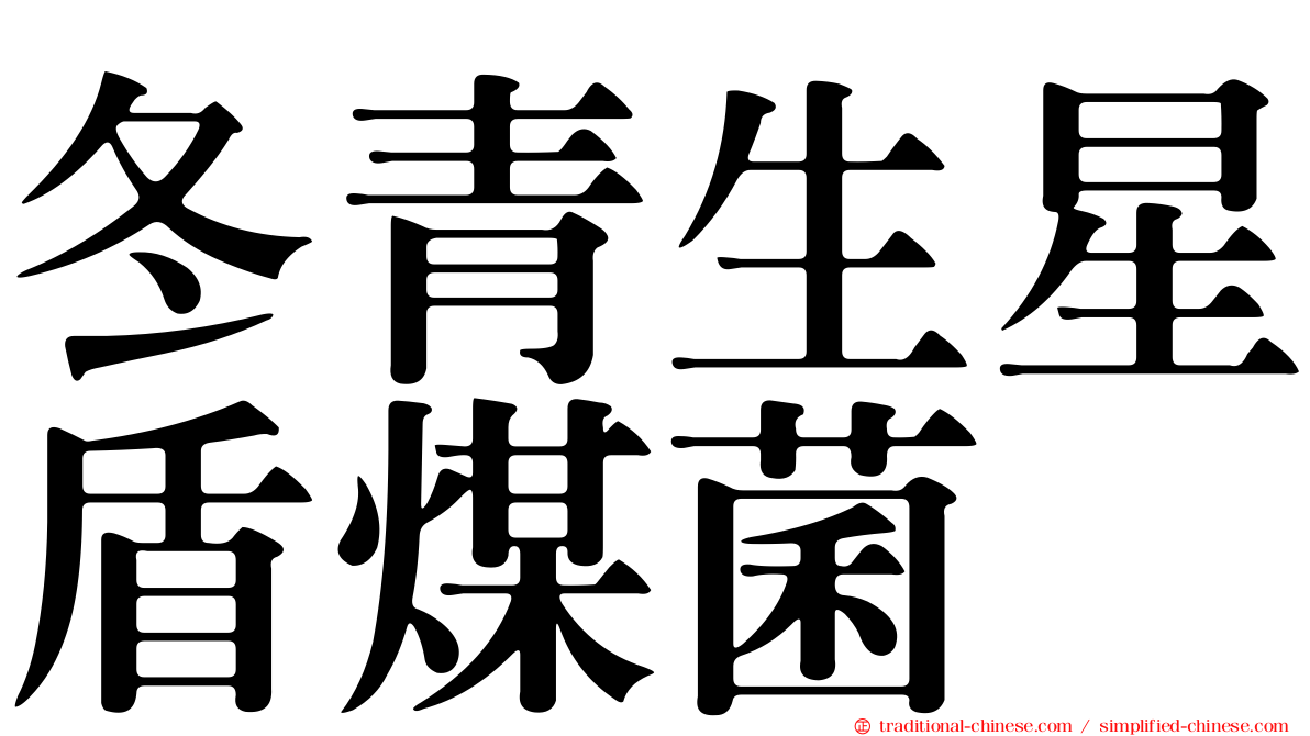 冬青生星盾煤菌