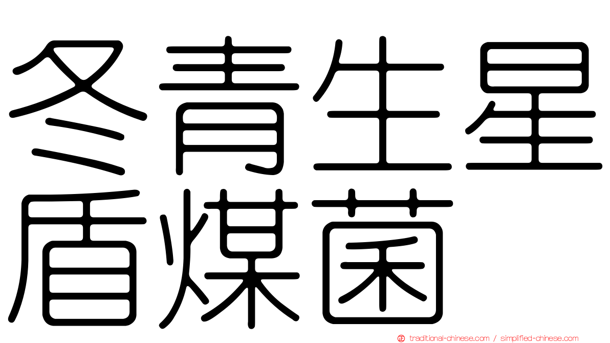 冬青生星盾煤菌