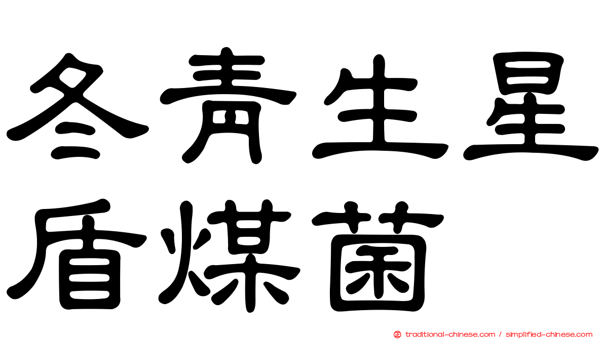 冬青生星盾煤菌