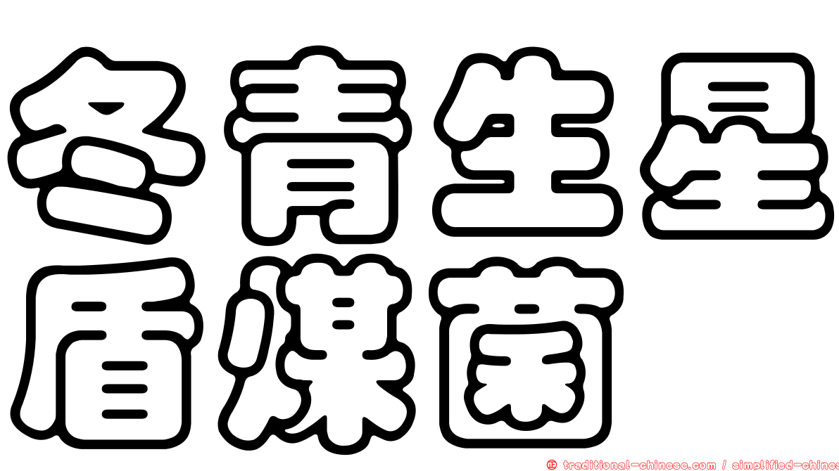 冬青生星盾煤菌