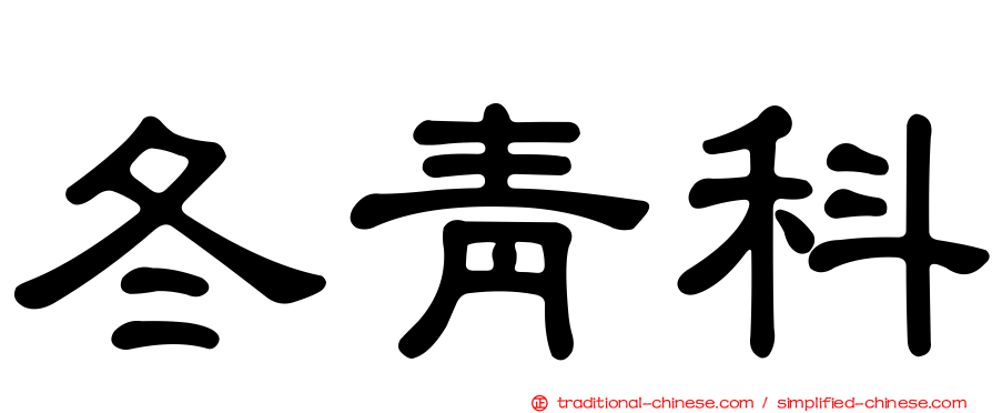 冬青科