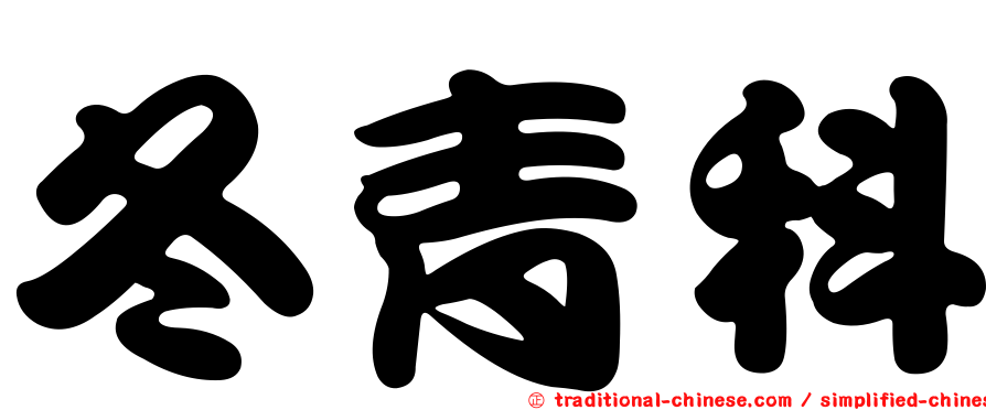 冬青科