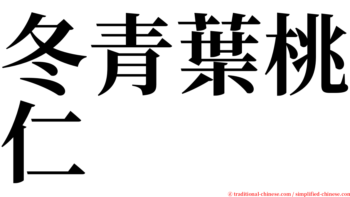 冬青葉桃仁 serif font