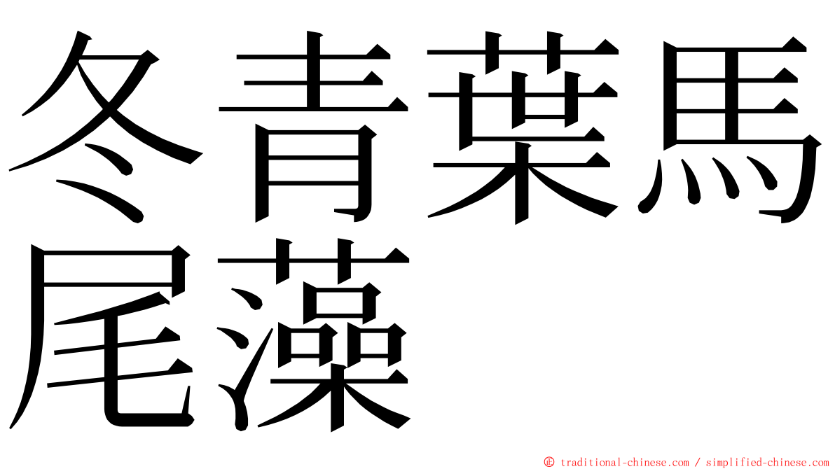 冬青葉馬尾藻 ming font