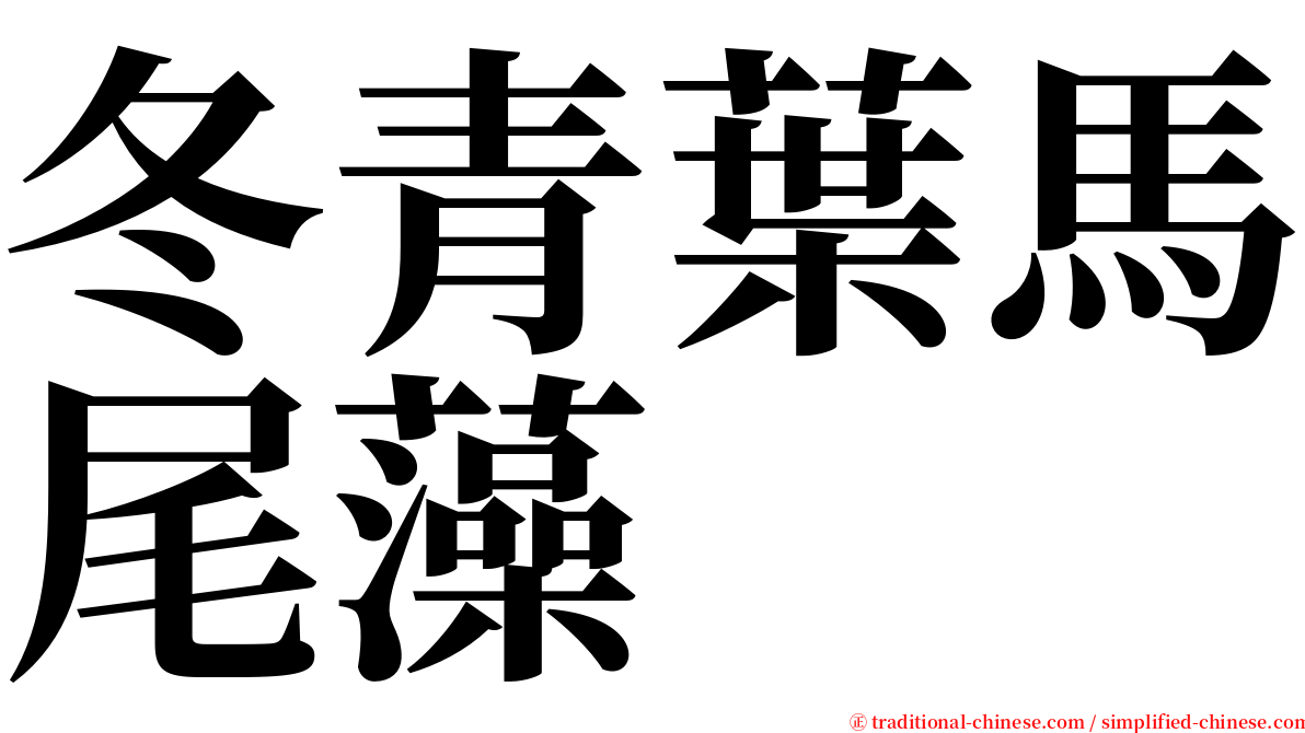 冬青葉馬尾藻 serif font