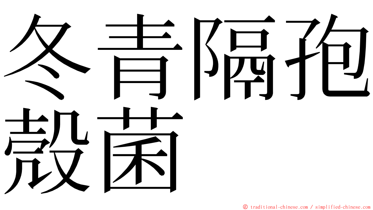 冬青隔孢殼菌 ming font