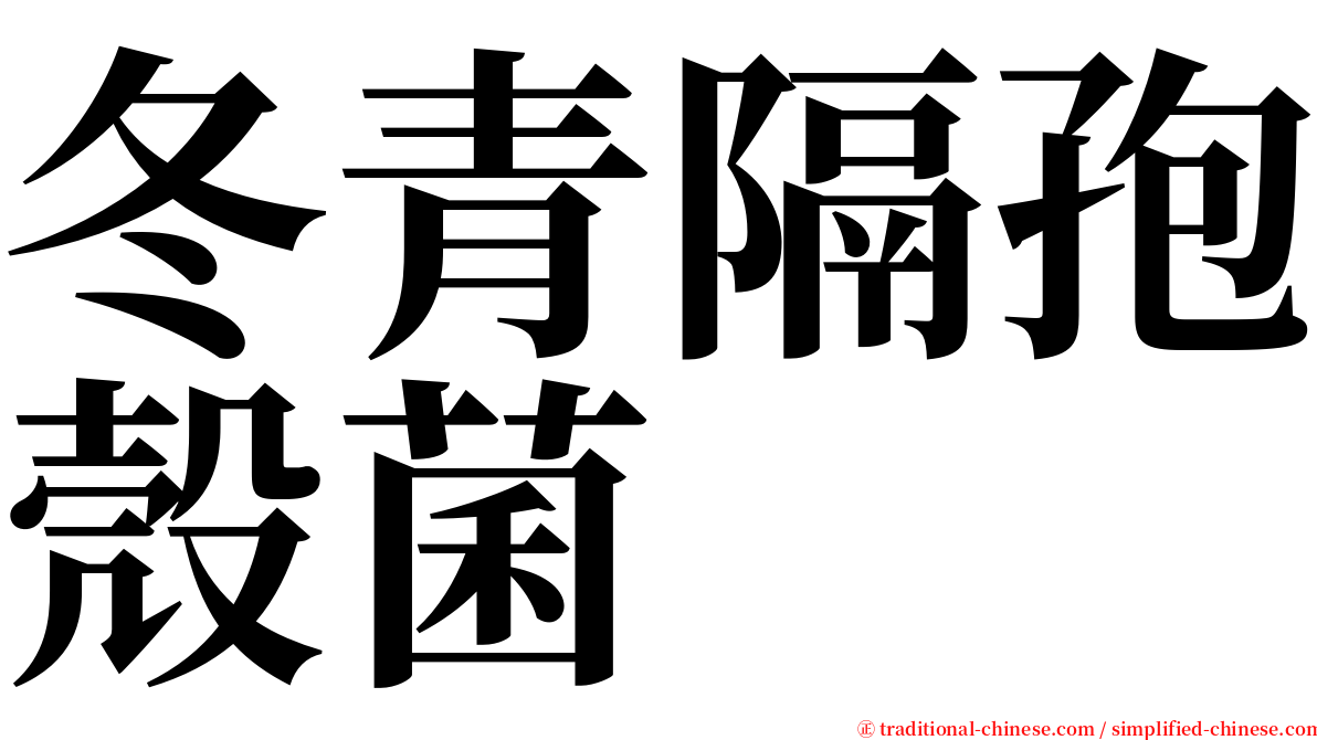 冬青隔孢殼菌 serif font