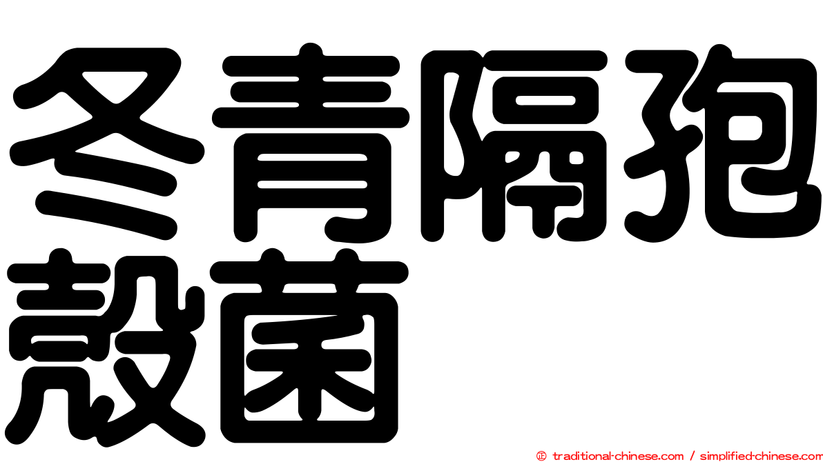 冬青隔孢殼菌