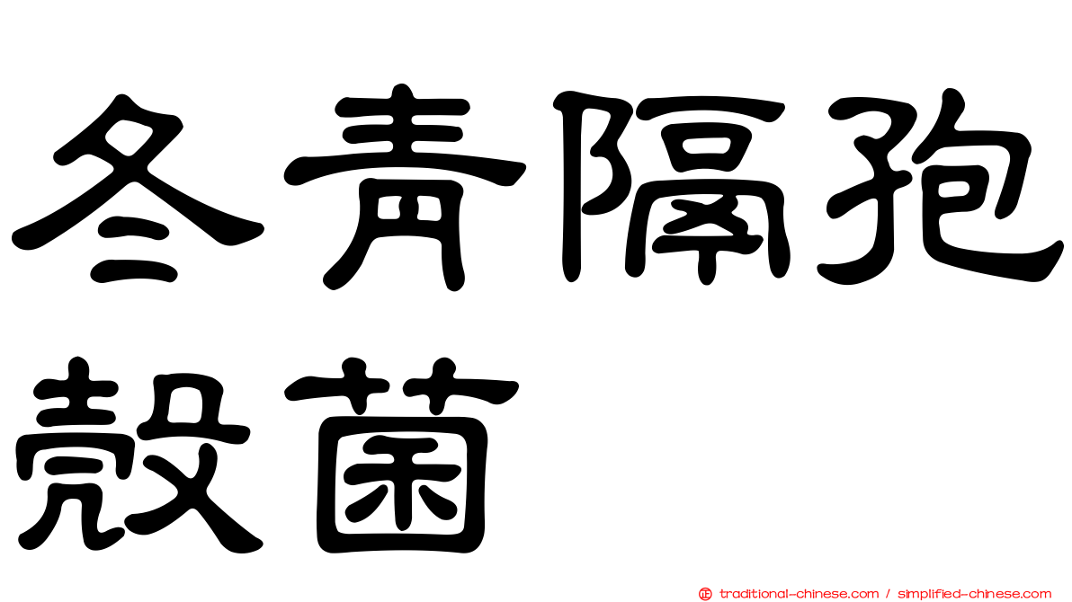 冬青隔孢殼菌