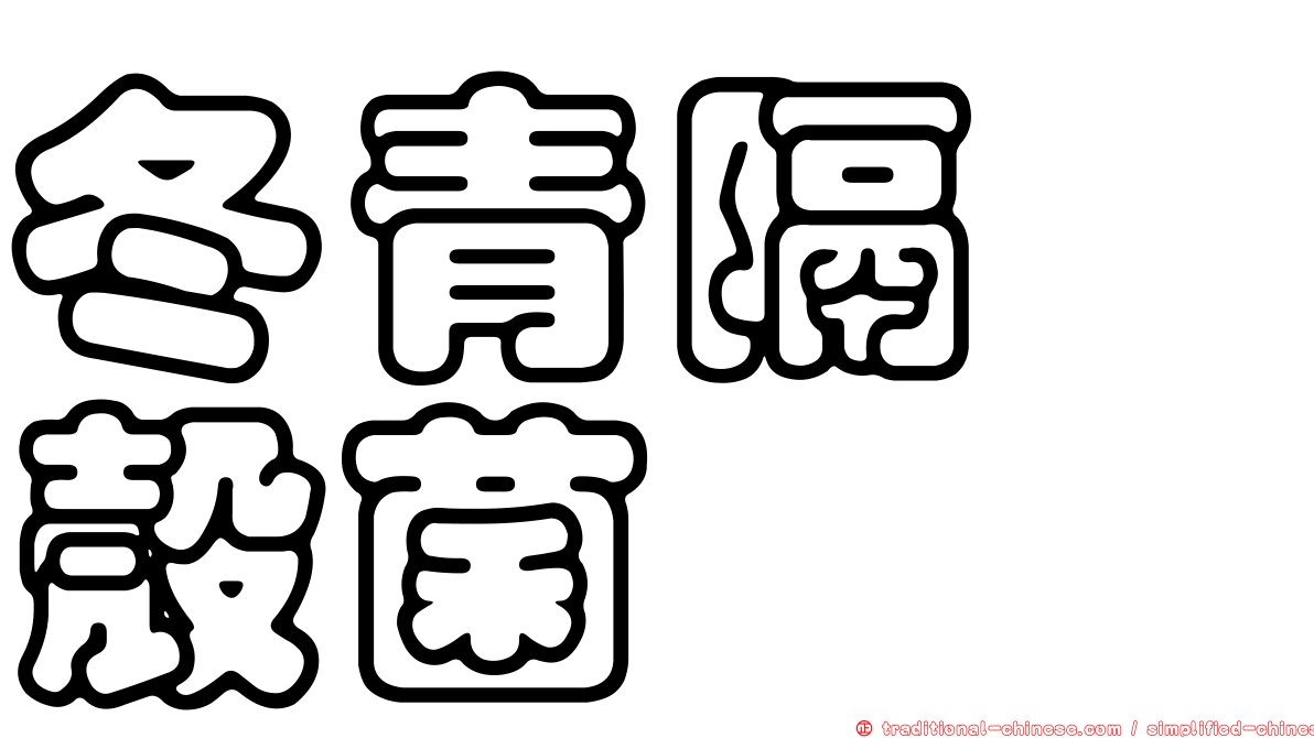 冬青隔孢殼菌
