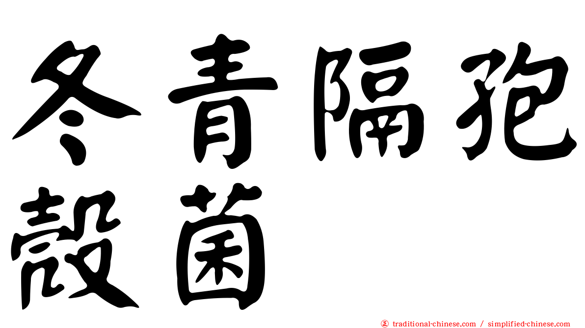冬青隔孢殼菌