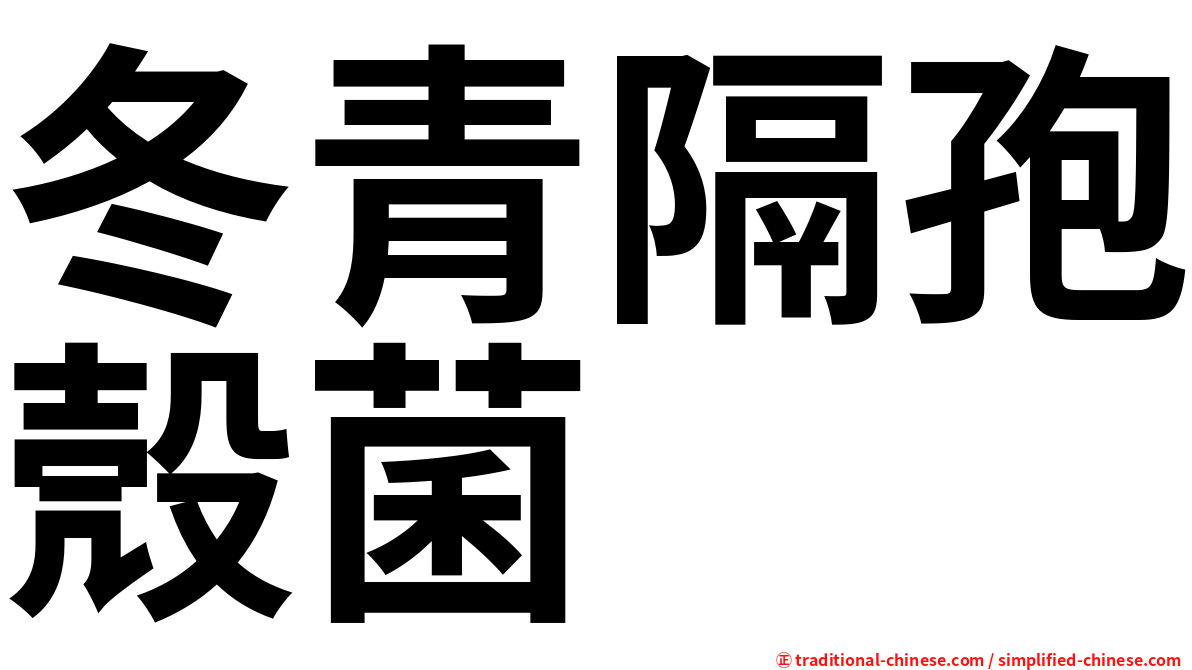 冬青隔孢殼菌
