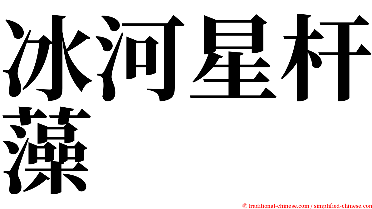 冰河星杆藻 serif font